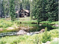 cabin in trees