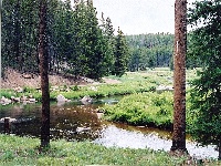 cabin view photoshopped